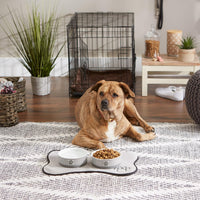 Elevate Your Pet's Dining Experience with the Paw & Patch Stylish Gray Ceramic Pet Bowl Set - Medium 2-Piece Collection