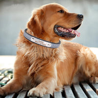 Personalized Reflective Dog Collar - Custom Engraved Pet ID Tag for Small to Large Dogs and Cats