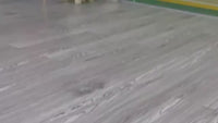 Smart Mouse Cat Toy